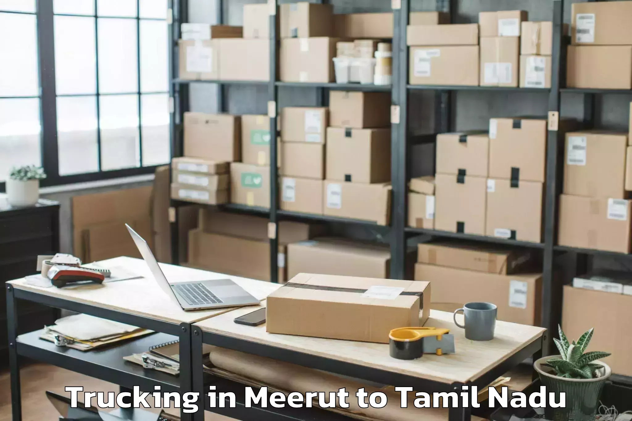 Top Meerut to Spectrum Mall Chennai Trucking Available